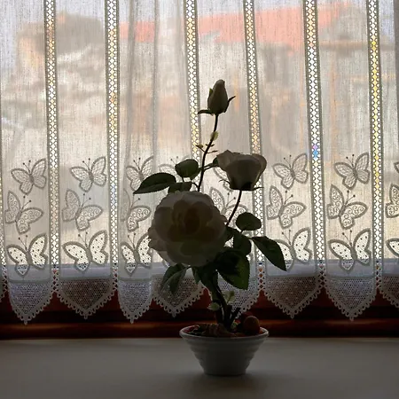 בית חווה Casa Do Azibo Santa Combinha
