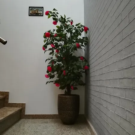 Casa Do Azibo Farma *