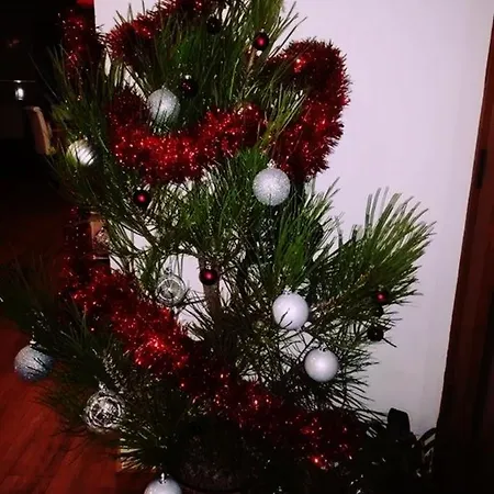 Casa Do Azibo * Santa Combinha