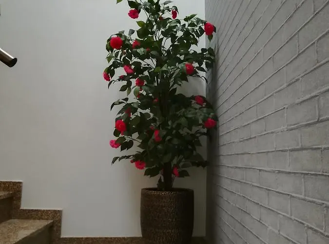 Casa Do Azibo Farma *