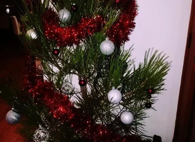 Casa Do Azibo * Santa Combinha